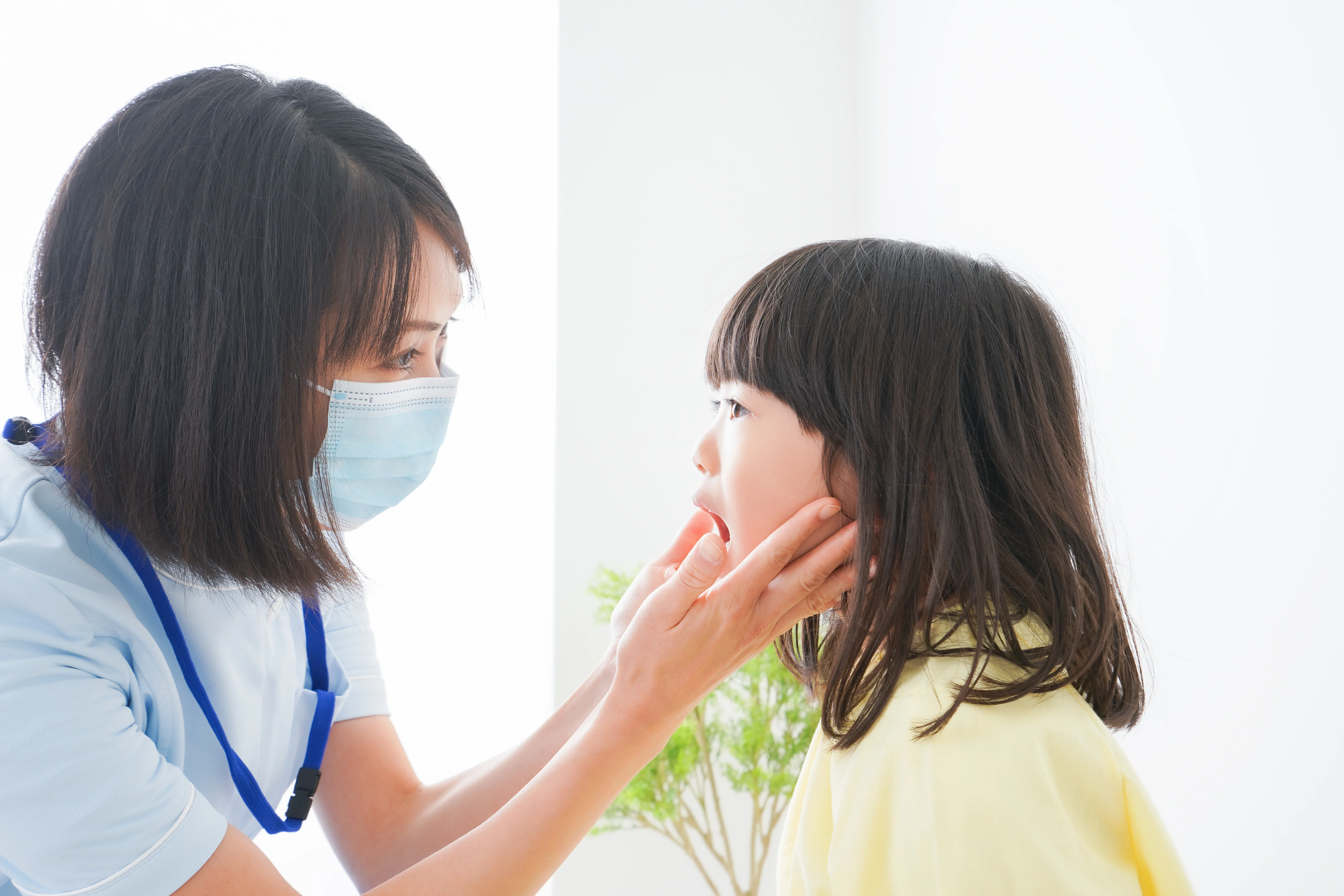 4〜6歳：乳歯列が完成し、むし歯リスクが高まる時期